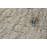 Каменно-полимерная плитка ПВХ Alpinefloor STONE Ричмонд ЕСО 4-1 (без подложки)