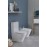 Унитаз-компакт Jacob Delafon Rodin+ UJAB102-00 Унитаз-компакт Jacob Delafon Rodin+ UJAB102-00