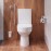 Унитаз с бачком напольный AM.PM Spirit CK70DC Унитаз с бачком напольный AM.PM Spirit CK70DC