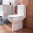 Унитаз с бачком напольный AM.PM Spirit CK70DC Унитаз с бачком напольный AM.PM Spirit CK70DC