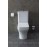 Унитаз-компакт Allen Brau Infinity 4.21012.20 белый Унитаз-компакт Allen Brau Infinity 4.21012.20 белый